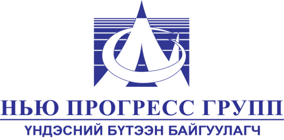 Logo of Нью Прогресс Групп